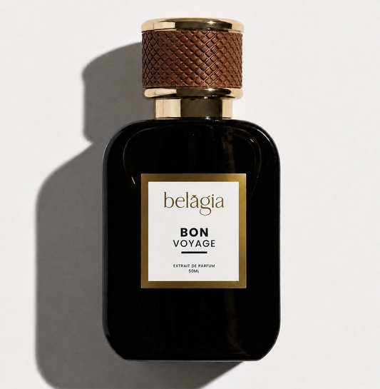 Bon Voyage - Inspired by Ombre Nomade LV