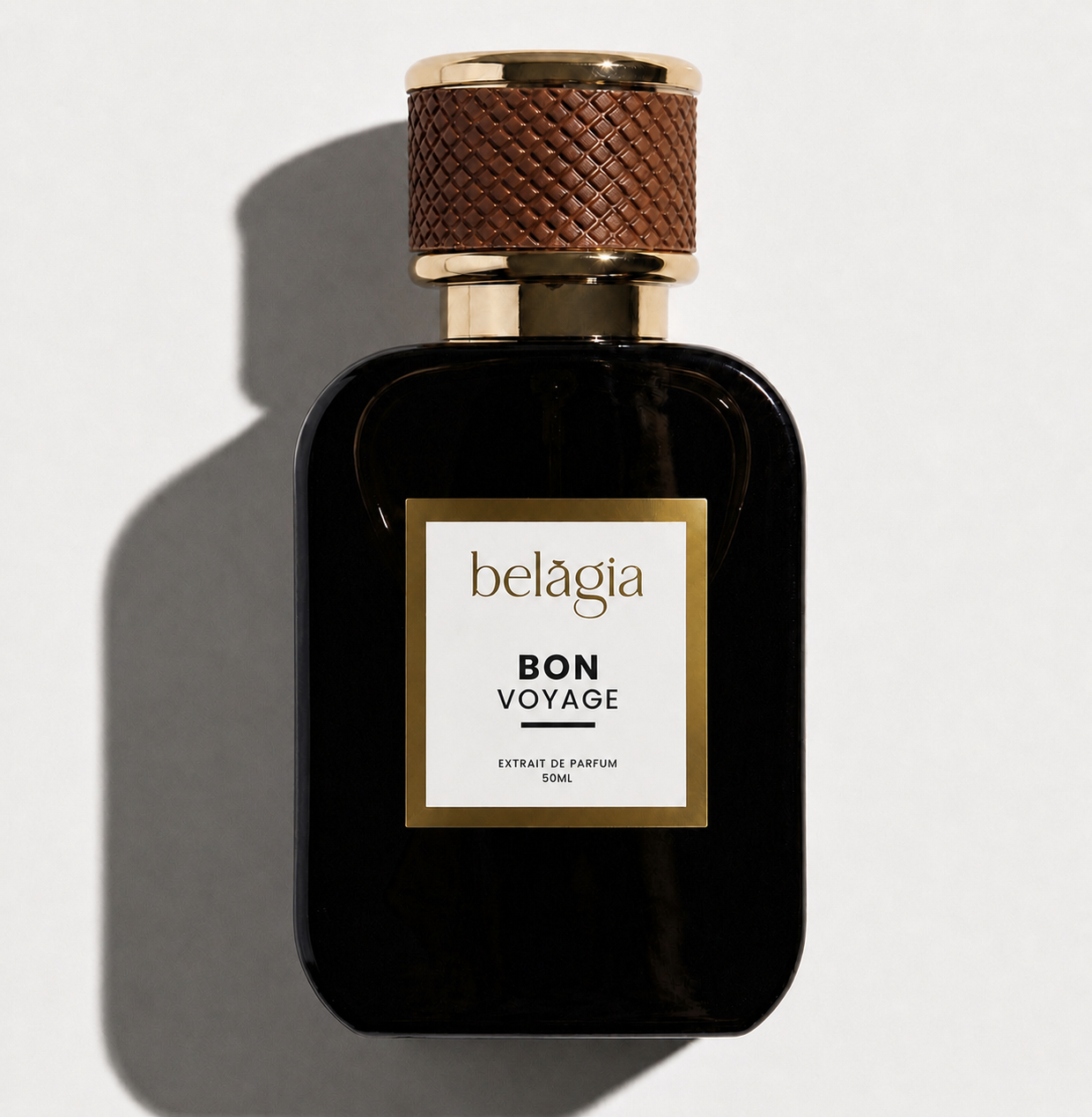 Bon Voyage - Inspired by Ombre Nomade LV