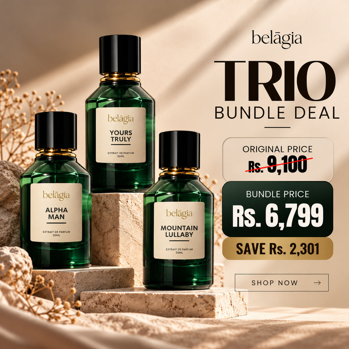 Bundle #5 Alpha Man | Mountain Lullaby | Yours Truly